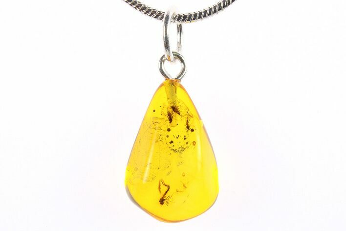 Polished Baltic Amber Pendant (Necklace) - Contains Flies! #273762